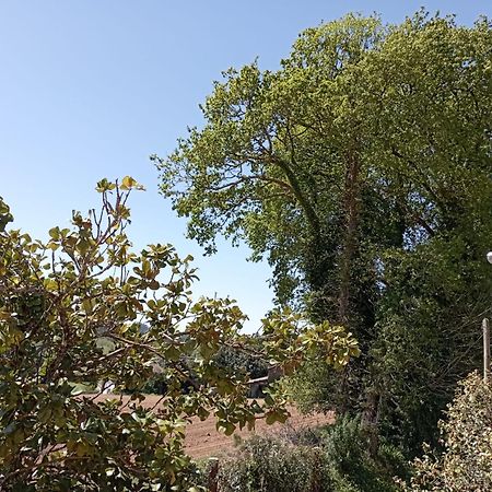 شقة A Casa Do San Paio De Buscas Ordes المظهر الخارجي الصورة