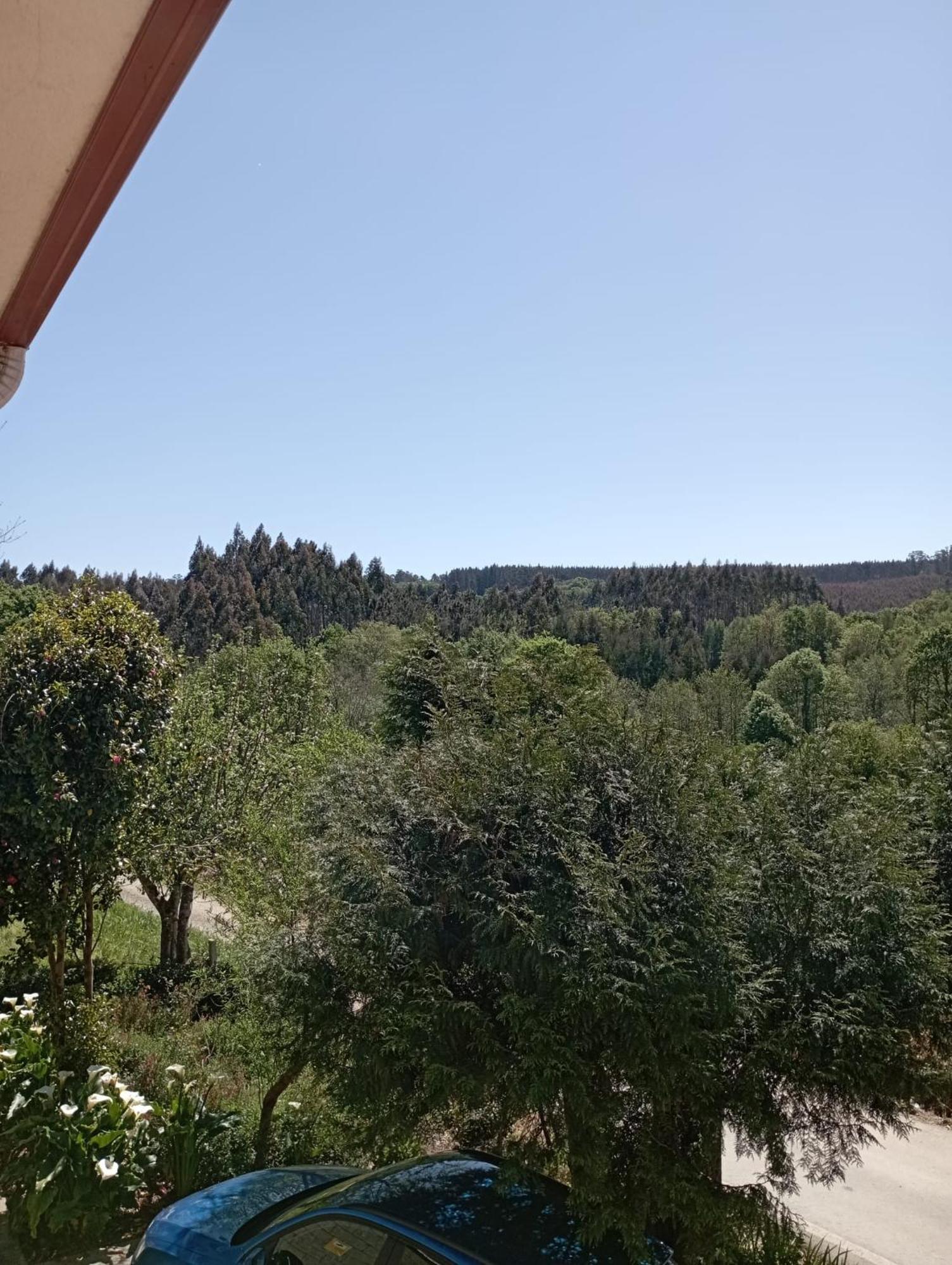 شقة A Casa Do San Paio De Buscas Ordes المظهر الخارجي الصورة