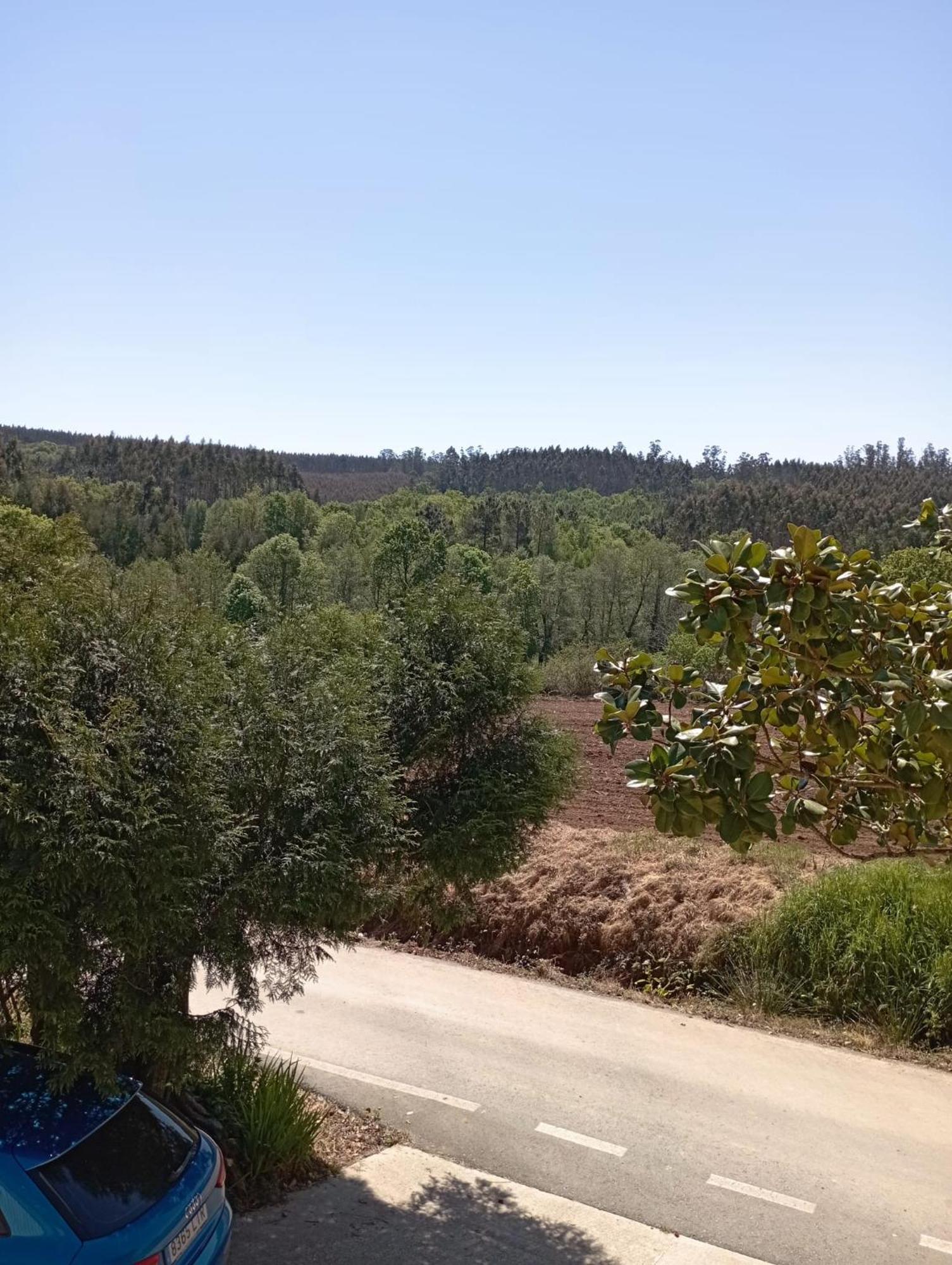 شقة A Casa Do San Paio De Buscas Ordes المظهر الخارجي الصورة