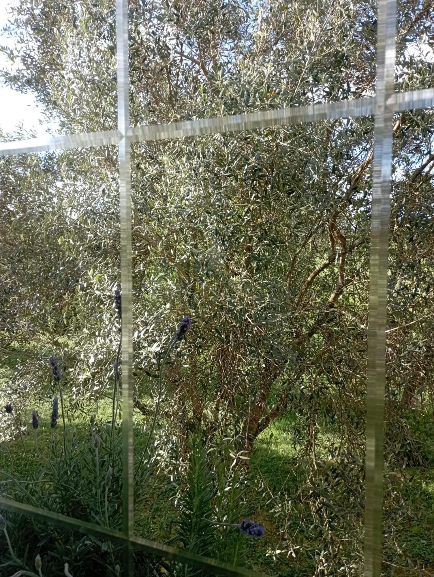 شقة A Casa Do San Paio De Buscas Ordes المظهر الخارجي الصورة