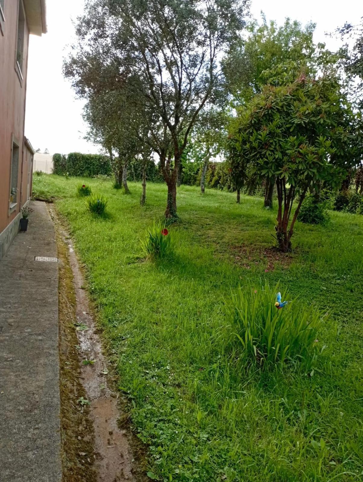 شقة A Casa Do San Paio De Buscas Ordes المظهر الخارجي الصورة