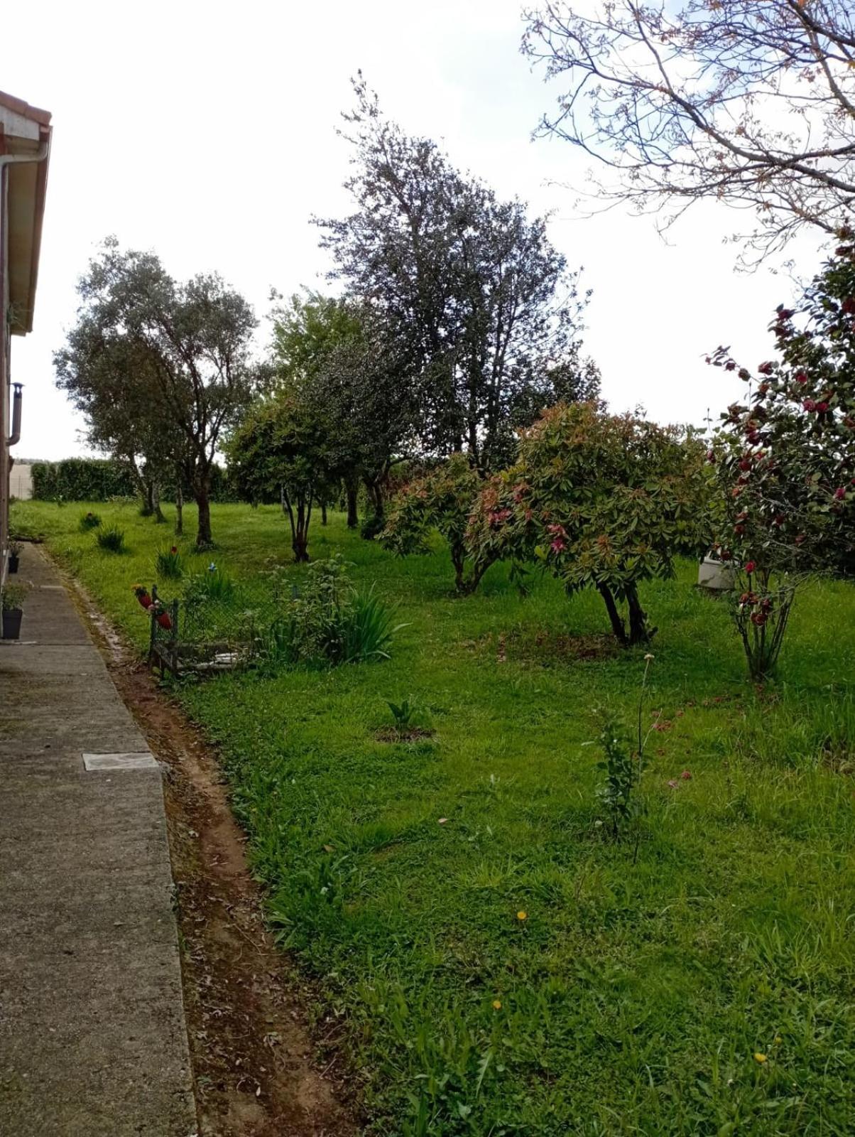 شقة A Casa Do San Paio De Buscas Ordes المظهر الخارجي الصورة